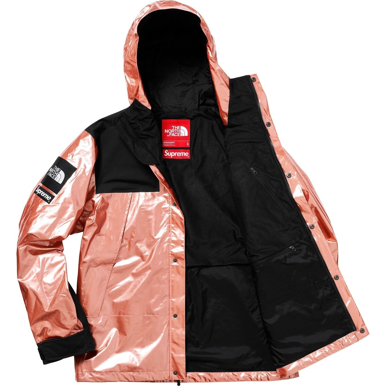 Supreme®/The North Face® Metallic Mountain Parka view 7